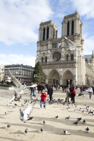 notre dame 111 sm.jpg